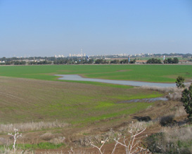 212880-narcisos-valley